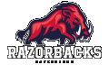 Ravensburg Razorbacks