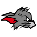 Kirchdorf Wildcats